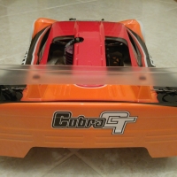 Cobra GT3 GP Build 198