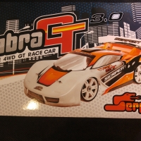 Cobra GT3 GP Build 004